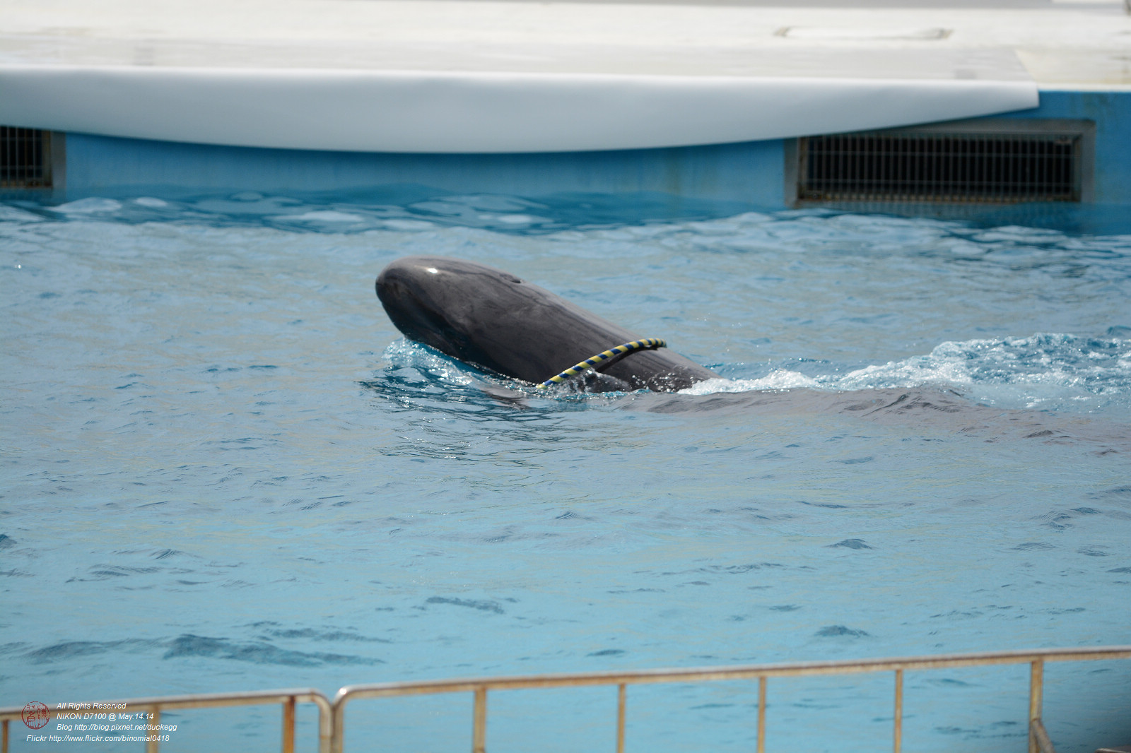 DSC_3044.jpg